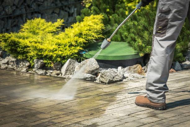 Best Sidewalk and Walkway Cleaning  in Homestead Meadows North, TX
